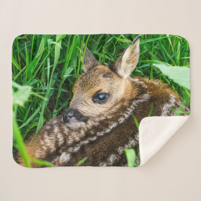 Couverture Sherpa Animaux de bébés cutest | Roe Deer Baby (Devant (Horizontal))