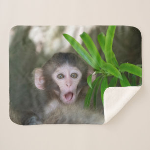 Couverture Sherpa Animaux de bébés cutest   Singe des neiges surpris