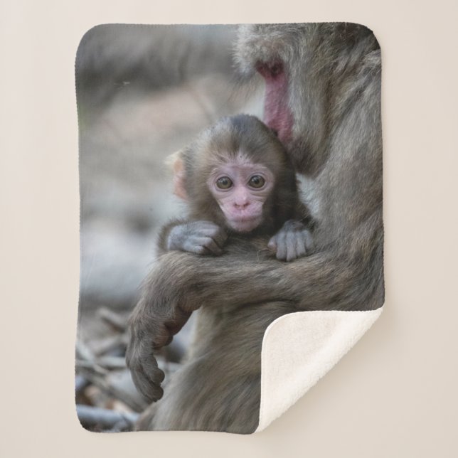 Couverture Sherpa Animaux de bébés cutest | Singe et bébé japonais (Devant)