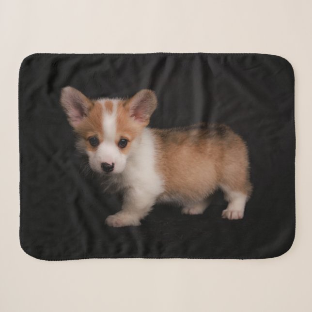 Couverture Sherpa Animaux de bébés cutest | Tiny Corgi (Devant (Horizontal))