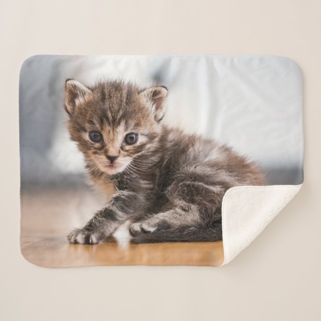 Couverture Sherpa Animaux de bébés cutest | Tiny Tabby Kitten (Devant (Horizontal))