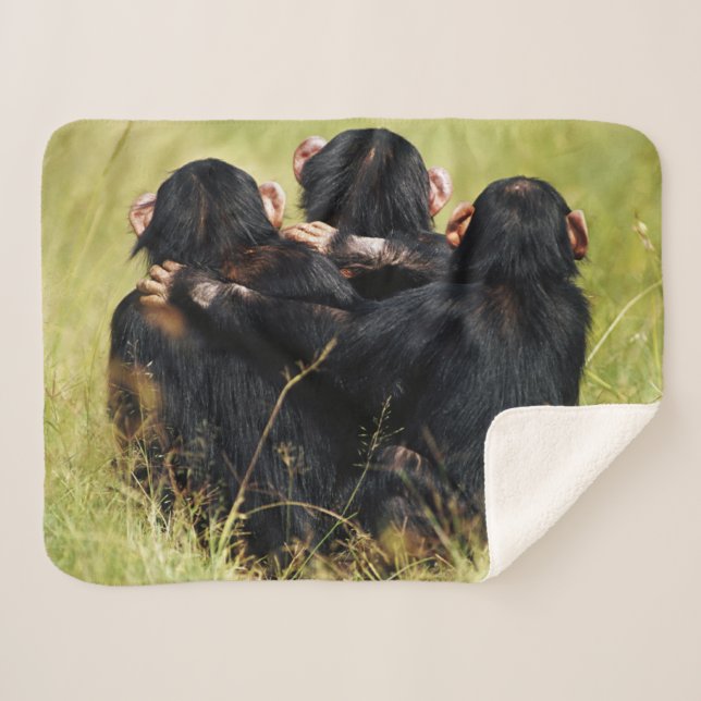 Couverture Sherpa Animaux de bébés cutest | Trois chimpanzés en trai (Devant (Horizontal))