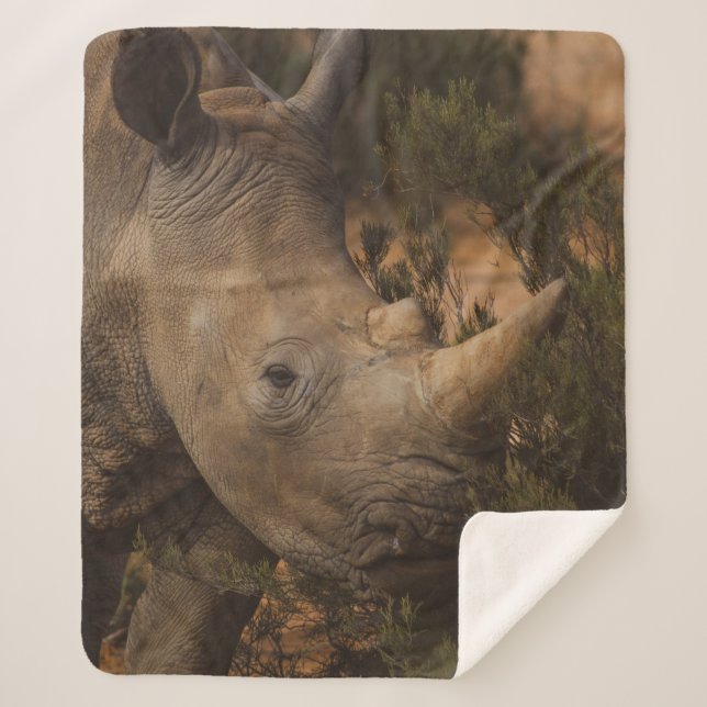 COUVERTURE SHERPA ANIMAUX SAUVAGES RHINO (Devant)