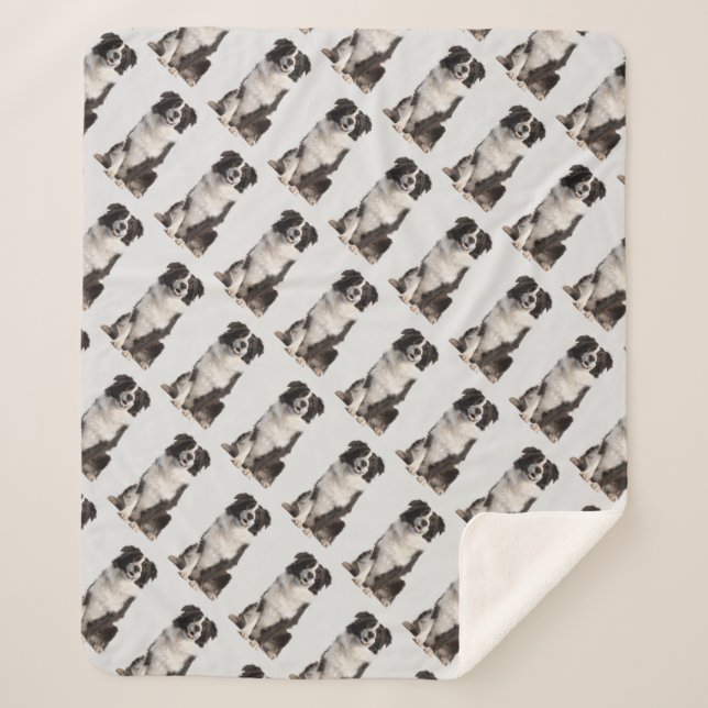 Couverture Sherpa Aquarelle Bordure Collie Chien Animal de compagnie (Devant)