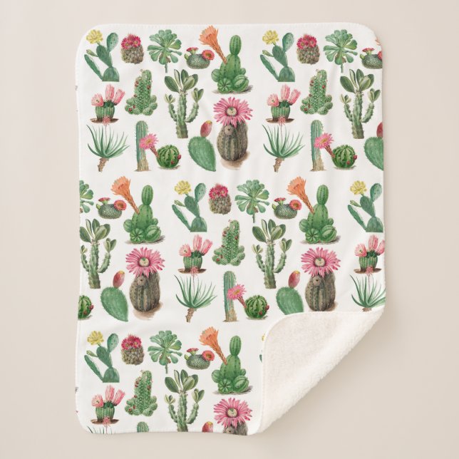 Couverture Sherpa Aquarelle colorée Cactus et succulents Fleurs (Devant)