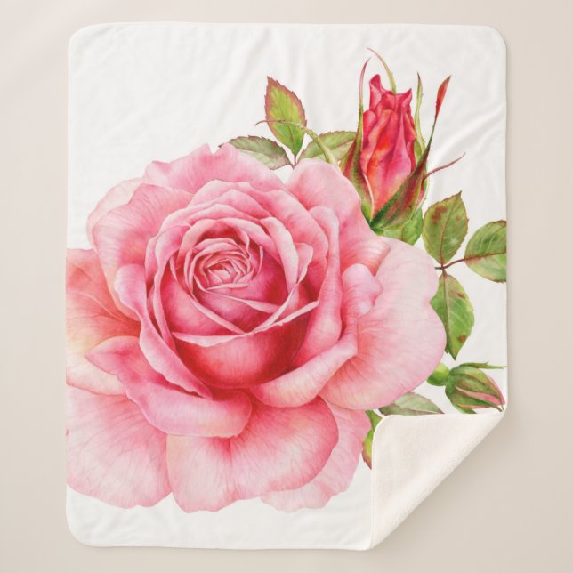 Couverture Sherpa Aquarelle illustration d'une rose rose wi délicate (Devant)