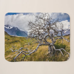 Couverture Sherpa Arbre brûlé, Torres del Paine, Chili