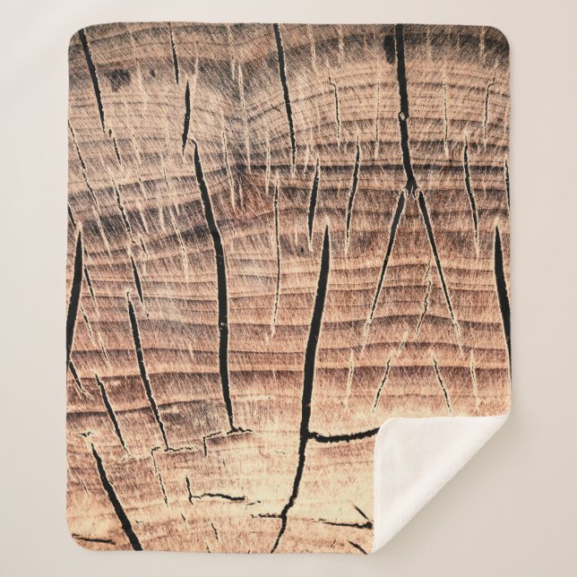 Couverture Sherpa arrière - plan d'un stumpabstract en bois, âge, vi (Devant)