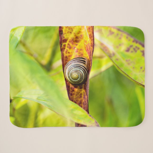 Couverture Sherpa attachement calme (Devant (Horizontal))