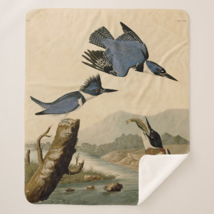 Couverture Sherpa Audubon Belted Kingfisher Wildlife Bird