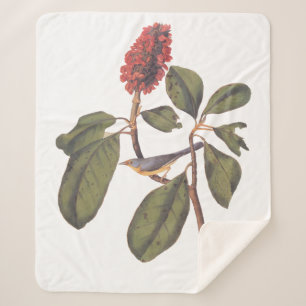 Couverture Sherpa Audubon Bonaparte Flycatcher Bird