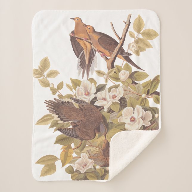 Couverture Sherpa Audubon Carolina Turtle Dove (Devant)