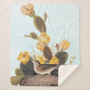Couverture Sherpa Audubon Vesper Sparrow et Prickly Pear Cactus