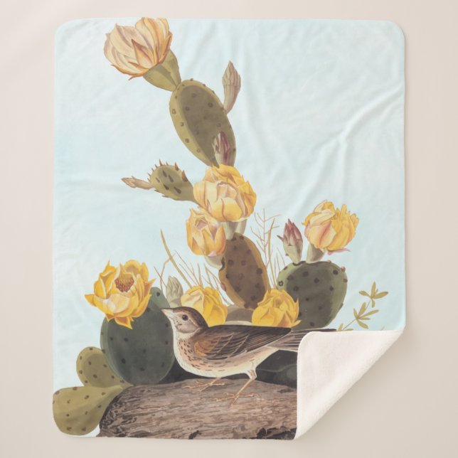 Couverture Sherpa Audubon Vesper Sparrow et Prickly Pear Cactus (Devant)