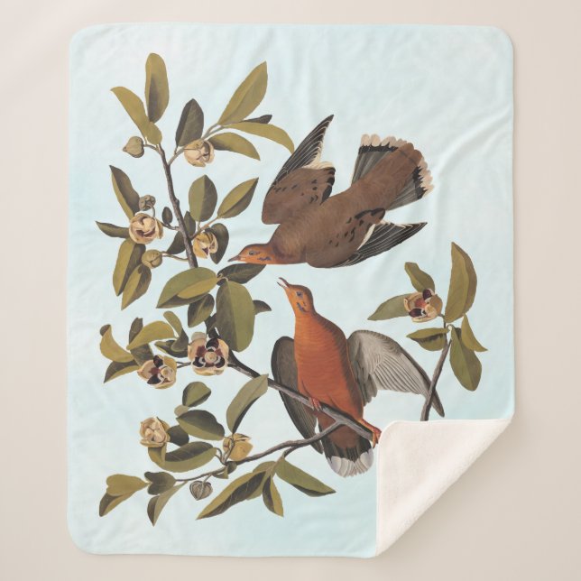 Couverture Sherpa Audubon Zenaida Dove avec fleurs (Devant)