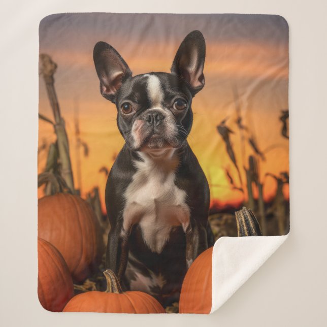 Couverture Sherpa Automne Boston Terrier (Devant)