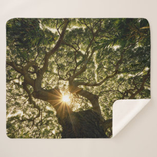 Couverture Sherpa Auvent Sunstar de banian