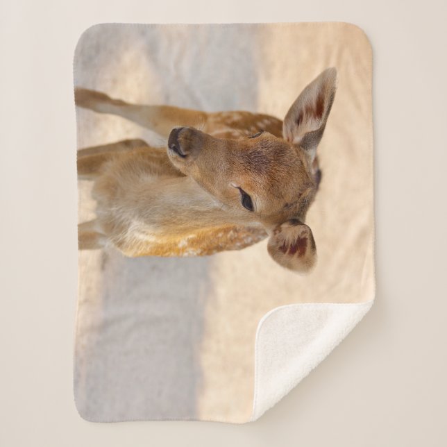 Couverture Sherpa Baby Deer (Devant)