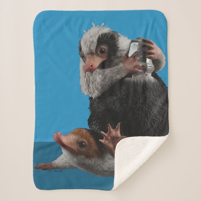 Couverture Sherpa Baby Nifflers Find A Prize (Devant)