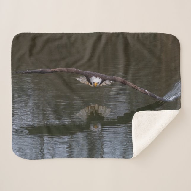 Couverture Sherpa Bald Eagle dans le vol Sherpa Blanket (Devant (Horizontal))