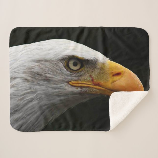Couverture Sherpa Bald Eagle sbcna (Devant (Horizontal))