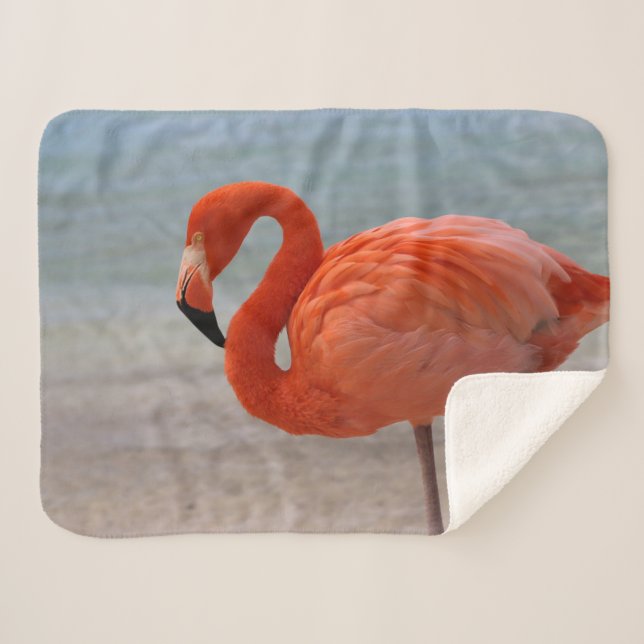Couverture Sherpa Beaches tropicales | Caribbean Flamingo, Aruba (Devant (Horizontal))