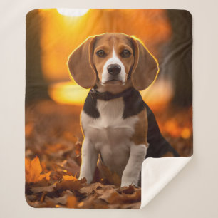 Couverture Sherpa Beagle d'automne