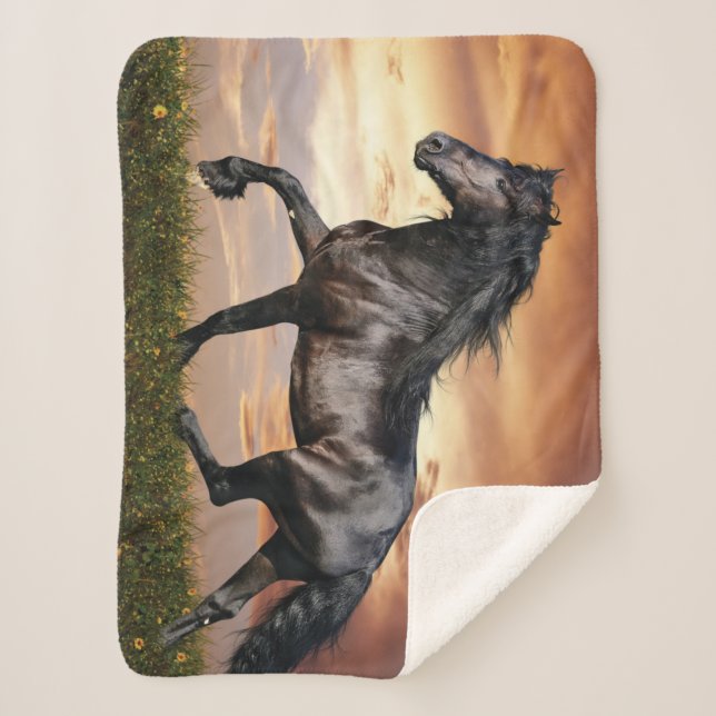 Couverture Sherpa Beau Cheval Noir (Devant)