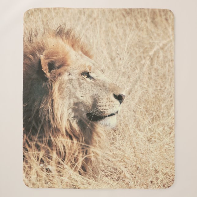 COUVERTURE SHERPA BEAU LION (Devant)