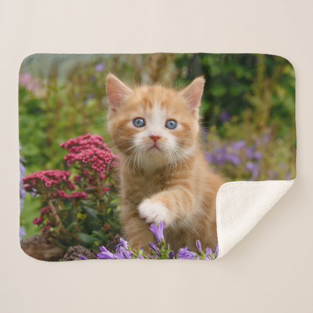 Couverture Sherpa Bébé mignon Chat Kitten Animal de compagnie jouant (Devant (Horizontal))