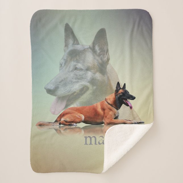 Couverture Sherpa Belge Malinois - berger belge - Maligator (Devant)