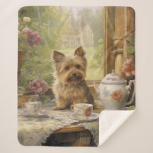 Belle Yorkie