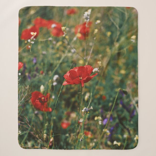 COUVERTURE SHERPA BELLES FLEURS (Devant)