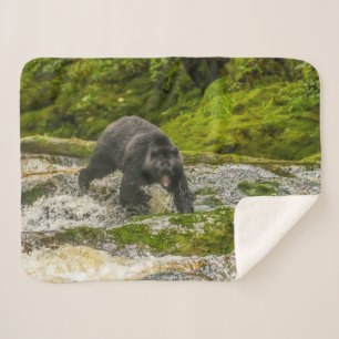 Couverture Sherpa Black Bear Fishing   Qua Creek Colombie-Britanniqu