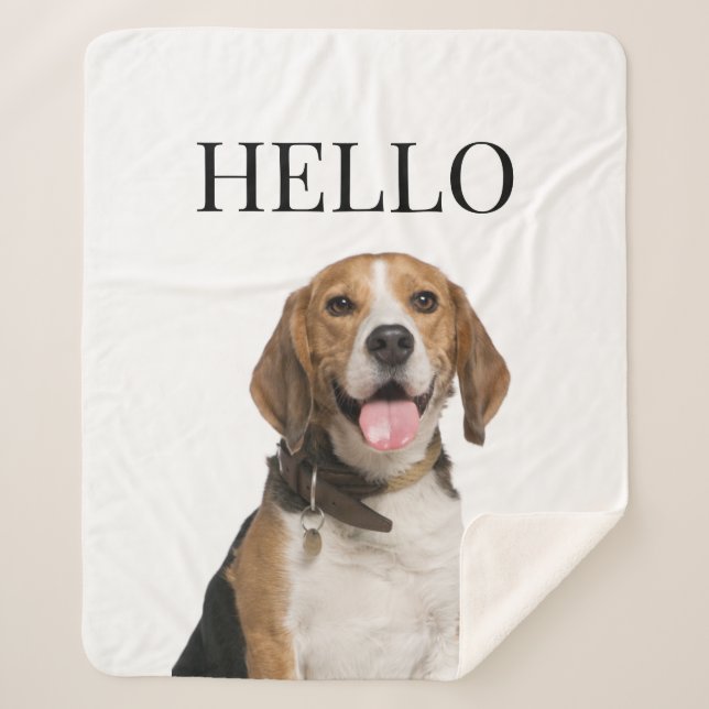 Couverture Sherpa Bonjour Personnalisé Beagle Portrait de chien phot (Devant)