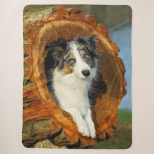 Couverture Sherpa Bordure Collie Blue Merle Chien Tête Photographie