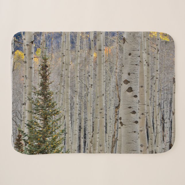Couverture Sherpa Bosquets d'aspens en automne | Montagnes Rocheuses (Devant (Horizontal))