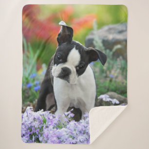 Couverture Sherpa Boston Terrier Chien Cute Chiot Animal Head Photo 