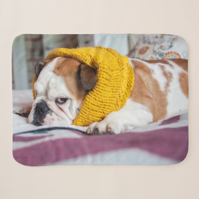 Couverture Sherpa Bouledogue anglais des images | de Getty (Devant (Horizontal))