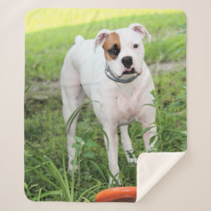 Couverture Sherpa Boxer