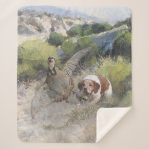 Couverture Sherpa Bretagne Espagnol chasse perdrix chukar, Art