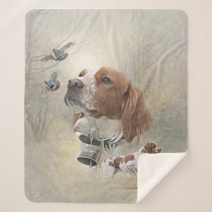 Couverture Sherpa Bretagne française, Art de chasse aux oiseaux