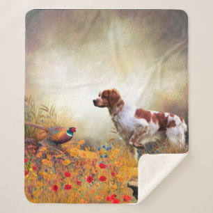 Couverture Sherpa Brittany Espagne