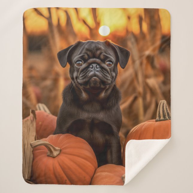 Couverture Sherpa Carlin d'automne (Devant)