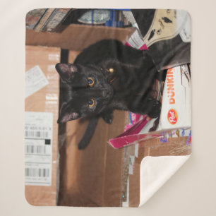 Couverture Sherpa Cat