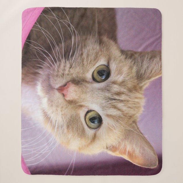 Couverture Sherpa Cat (Devant)