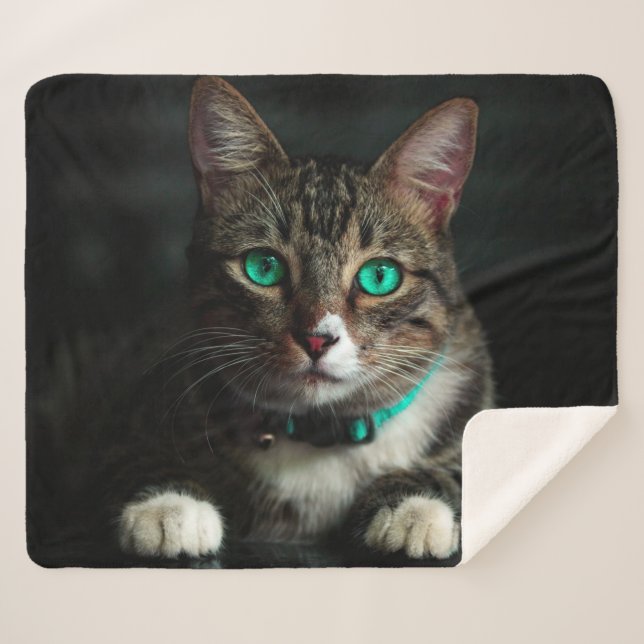 Couverture Sherpa Cat (Devant (Horizontal))