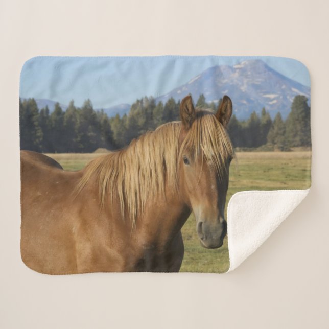Couverture Sherpa Chaîne des Cascades | Cheval châtaigne (Devant (Horizontal))