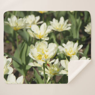 Couverture Sherpa Champ de tulipes blanches