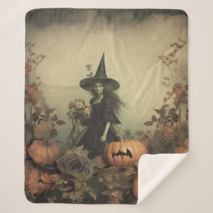Couverture Sherpa Chariot Halloween vintage (3)